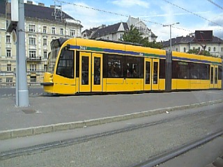 f0019063_22491591.jpg