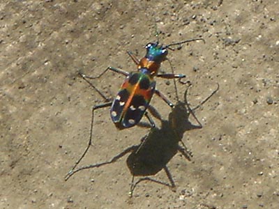 a0009666_7435240.jpg