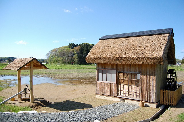 c0048667_034195.jpg