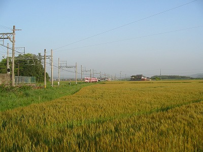 e0041168_8593828.jpg