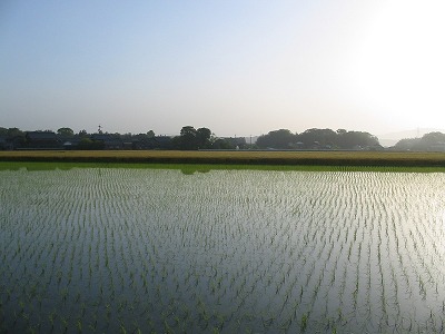 e0041168_942826.jpg