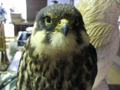 f0080168_23201043.jpg