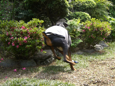 f0025769_139134.jpg