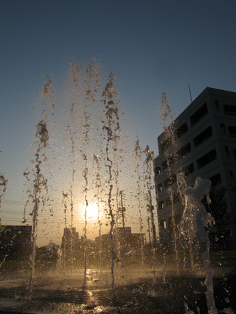 c0104371_10545777.jpg