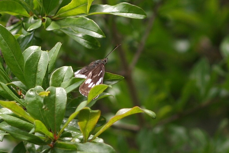 b0088772_6492316.jpg