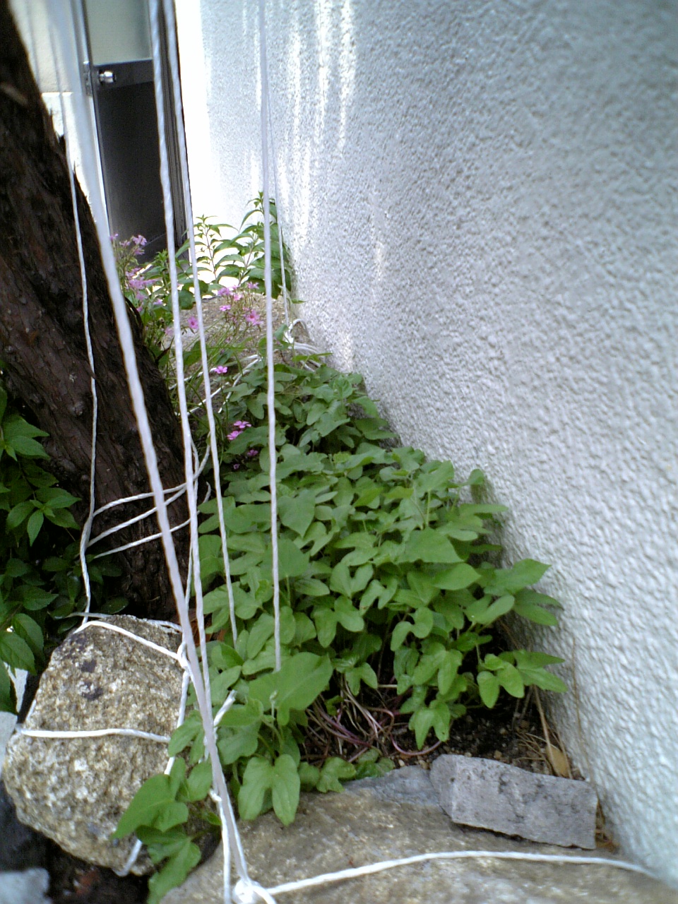 d0004574_2220144.jpg