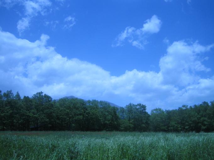 f0014183_1342259.jpg
