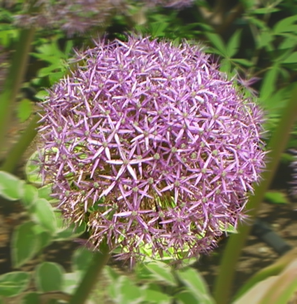 f0129184_21215783.jpg