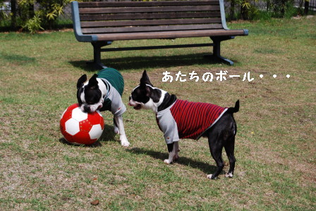 c0092787_11491755.jpg