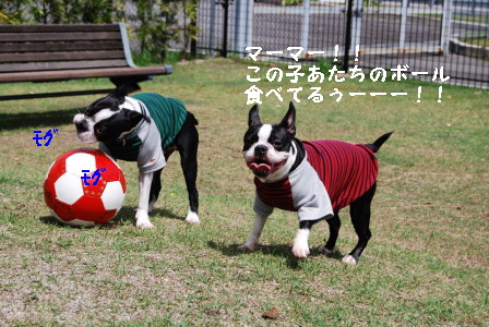 c0092787_11495025.jpg