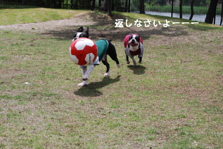 c0092787_1150457.jpg