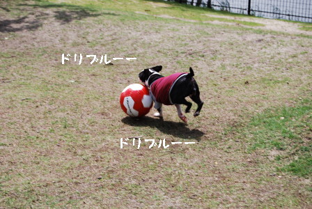 c0092787_1154171.jpg