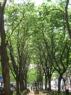 c0029190_15572876.jpg