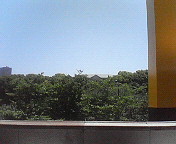 e0017290_8104216.jpg