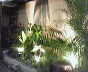 e0017290_8364372.jpg