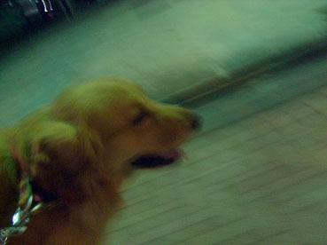 c0096393_231451.jpg