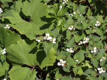 f0130894_23342587.jpg