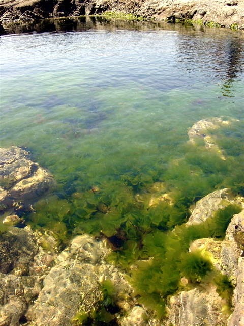d0010496_23341032.jpg