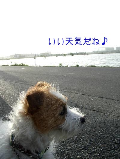 a0051402_1132289.jpg