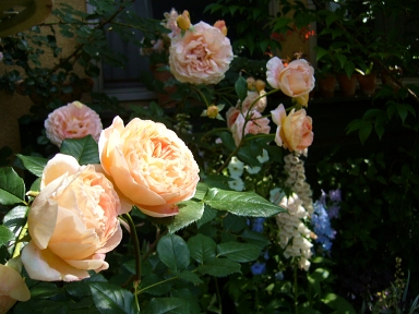 f0065604_232973.jpg
