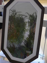 c0101913_1165557.jpg