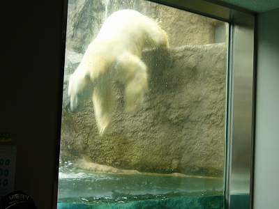 e0110113_1824032.jpg