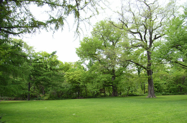 e0049318_16415346.jpg