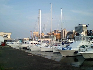 e0073418_12224233.jpg