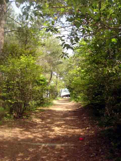 e0083820_22384940.jpg