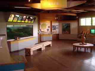 e0083820_22392983.jpg