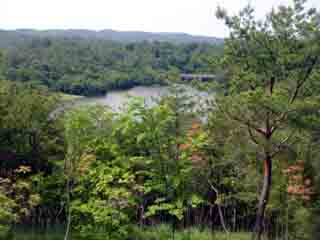 e0083820_22415631.jpg