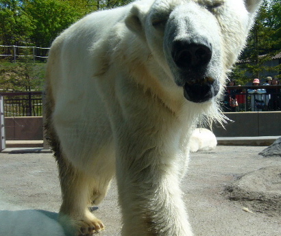 c0104529_23351915.jpg