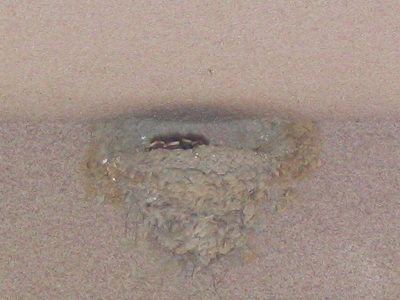 d0088332_20391257.jpg