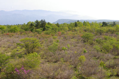 b0076836_17563369.jpg