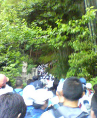 d0107938_21391144.jpg