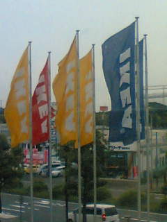 f0067138_1773141.jpg