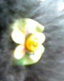 c0117239_6473010.jpg