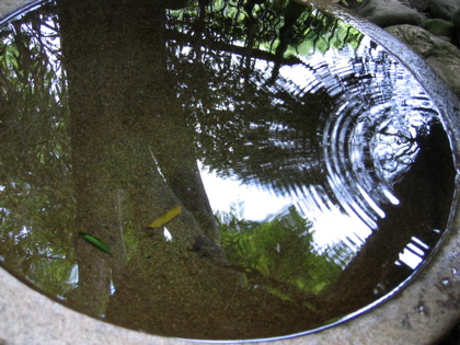 d0085939_22414999.jpg