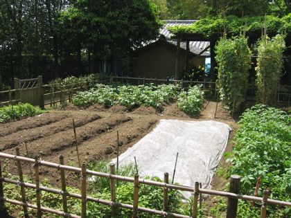 d0085939_22432951.jpg