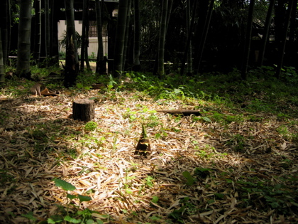 d0085939_22461965.jpg