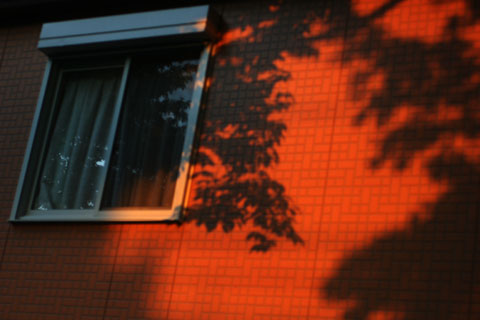 a0035442_18464914.jpg