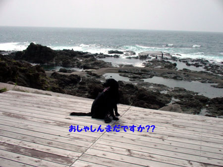 f0018144_20502633.jpg
