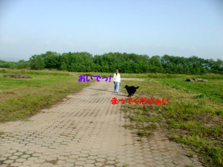 f0018144_20544117.jpg