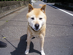 c0123149_15262093.jpg