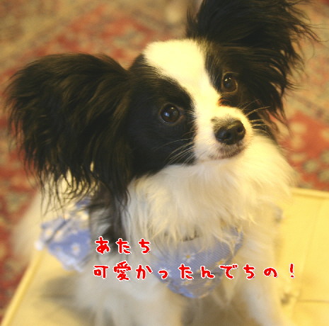 d0013149_2293979.jpg