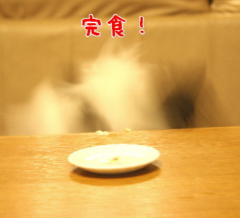 d0013149_233980.jpg