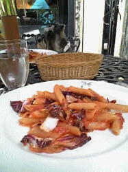 c0025852_15372111.gif