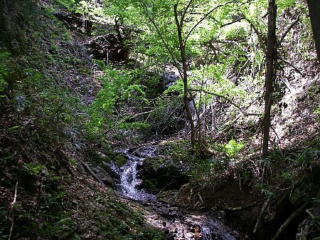 a0056654_23482499.jpg