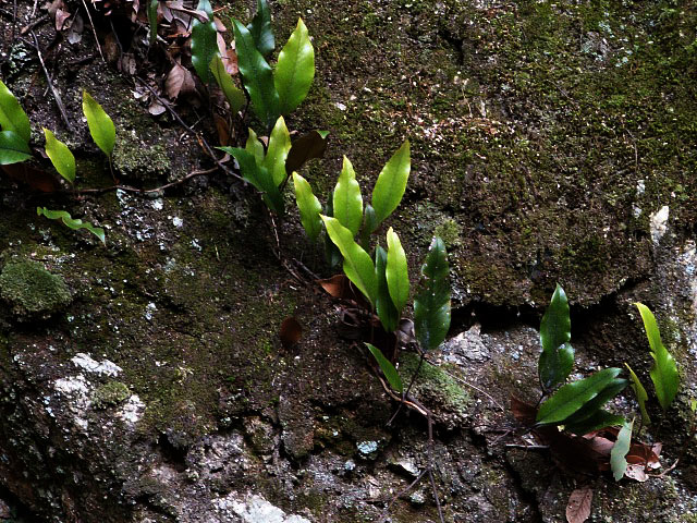 f0104569_23361658.jpg