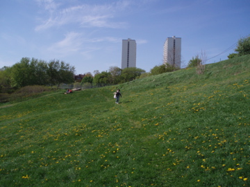 e0114371_15315251.jpg